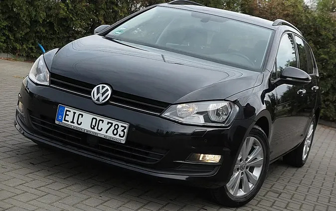 volkswagen golf bełżyce Volkswagen Golf cena 35900 przebieg: 176000, rok produkcji 2014 z Bełżyce